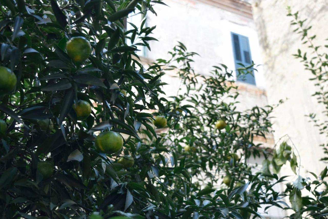 Giardino D'Atri Lejlighed Napoli Eksteriør billede